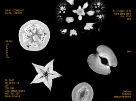 Bildaustausch Patientenportal