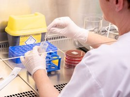 Dipl. biomedizinische/r Analytiker/in HF