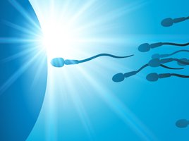 Männerheilkunde und Fruchtbarkeit