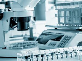 Wissenschaftliches Sekretariat